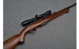 Winchester Model 100 Semi Auto Rifle in .243 Win - 1 of 9