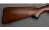 Winchester Model 100 Semi Auto Rifle in .243 Win - 3 of 9