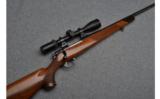 Sako Forester Deluxe L579 Bolt Action Rifle in .243 Win - 1 of 9