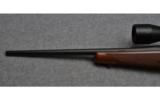 Ruger M77 Hawkeye Compact Bolt Action Rifle in .243 Win - 8 of 8
