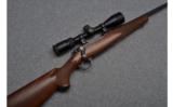 Ruger M77 Hawkeye Compact Bolt Action Rifle in .243 Win - 1 of 8