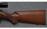 Kimber Model 82 Sporter Bolt Action Rifle in .22 LR - 6 of 9