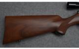 Kimber Model 82 Sporter Bolt Action Rifle in .22 LR - 3 of 9