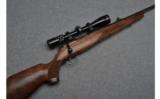 JP Sauer Model 80 Bolt Action Rifle in.243 Win - 1 of 9