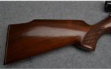 Anschutz 164 Sporter Bolt Action Rifle in .22 LR - 3 of 9