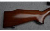 Ruger Carbine Rifle in .44 Magnum with Leopold Scope - 3 of 9