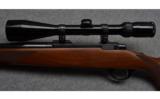 Ruger 77 Bolt Action Rifle in .243 Win Heavy Barrel - 7 of 9