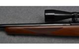 Ruger 77 Bolt Action Rifle in .243 Win Heavy Barrel - 8 of 9