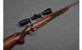 WInchester Model 70 Classic Stainless Rifle - 1 of 9
