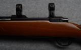 Ruger Model 77 Bolt Action Rifle in .243 Win - 7 of 9