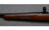 Ruger Model 77 Bolt Action Rifle in .243 Win - 8 of 9