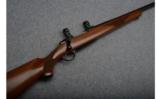 Ruger Model 77 Bolt Action Rifle in .243 Win - 1 of 9
