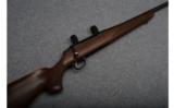 Tikka T3 Bolt Action Rifle in .25-06 Rem - 1 of 9