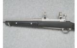 Ruger M77 MKII - .243 Win. - 7 of 7