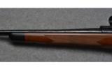 Winchester Model 70 Super Grade in .300 Win Mag - 8 of 9