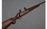 Winchester Model 70 Featherweight in .308 Win - 1 of 9