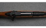 Brockman's Rifles ~ Dangerous Game ~ .458 Lott - 6 of 9