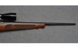 Winchester ~ 70 SA Featherweight ~ 6mm Rem - 4 of 9