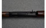 Winchester ~ SX3 Compact ~ 20 Ga. - 5 of 9