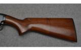 Winchester ~ Model 12 ~ 12 Gauge - 9 of 9