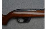 Winchester ~ Model 77 ~ .22 LR - 3 of 9