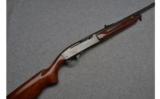 Remington ~ 740 Woodsmaster ~ .30-06 Spg. - 1 of 9