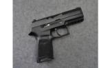 Sig Sauer ~ P320 Compact
~ 9mm - 1 of 5