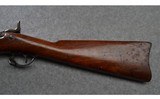 Springfield ~ 1873 ~ .45-70 Govt. - 9 of 10