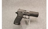 Sig Sauer p 320 - 1 of 2