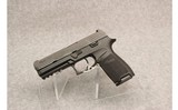 Sig Sauer p 320 - 2 of 2