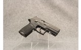 Sig~Sauer~P250 - 1 of 2