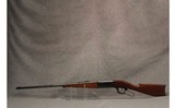 Savage Arms ~ 1899 - 12 of 12