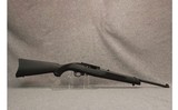Ruger ~ 10-22 - 1 of 12