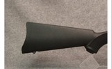 Ruger ~ 10-22 - 2 of 12
