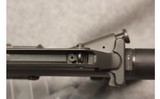 Colt ~ Sporter - 10 of 11