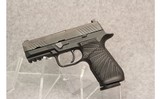 Sig ~ P320 - 2 of 2