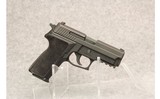 Sig ~ P229 - 1 of 2
