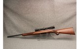 Ruger ~ M77/22 - 13 of 13