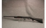 Savage ~ Model 64 - 10 of 10