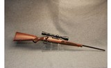 Winchester ~ Model 70 ~ Featherweight XTR - 1 of 10