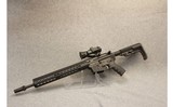 Bushmaster ~ XM15 - E2S - 10 of 10