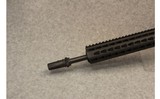 Bushmaster ~ XM15 - E2S - 6 of 10