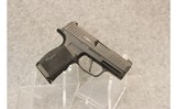 SIG Sauer ~ P365X - 1 of 2