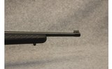 Ruger ~ 10-22 - 5 of 10