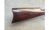 Marlin ~ 1893 - 38 x 55 - 2 of 10