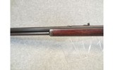 Marlin ~ 1893 - 38 x 55 - 7 of 10