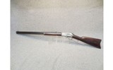 Marlin ~ 1893 - 38 x 55 - 10 of 10