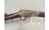 Marlin ~ 1893 - 38 x 55 - 3 of 10