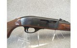 Remington ~ Nylon 66 - 22 Long Rifle - 3 of 10
