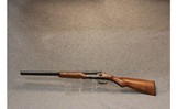 Rossi ~ 20 Gauge Coach Gun - 10 of 10